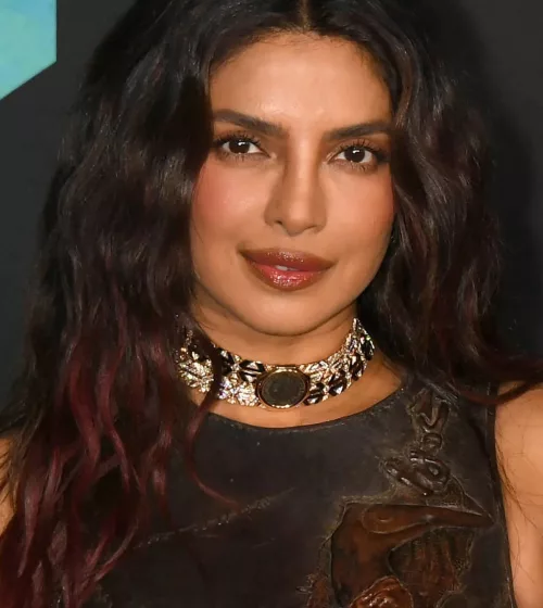 Priyanka Chopra Jonas