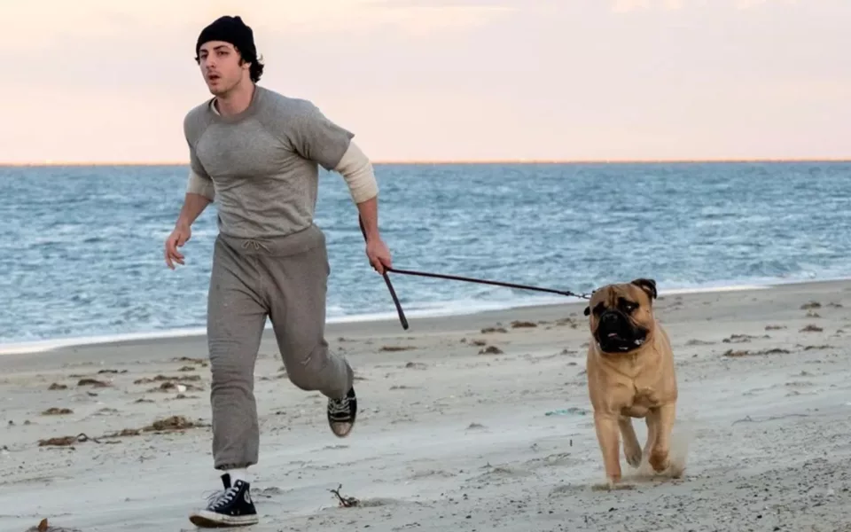 I Play Rocky: az igaz történet Sylvester Stallone-ról – megérkezett az első előzetes