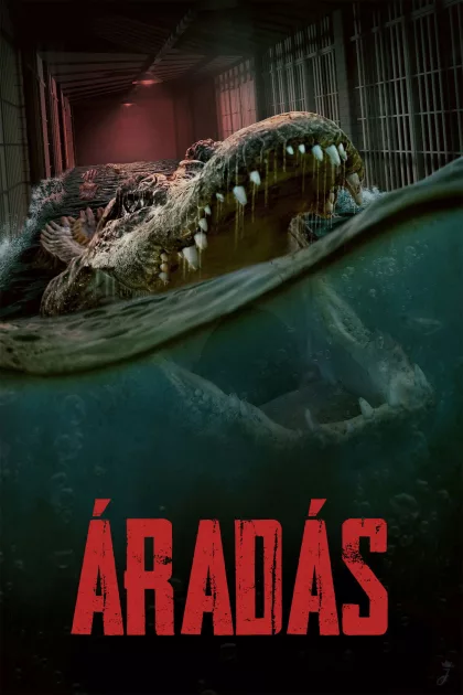 Áradás poszter