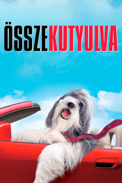 Összekutyulva poszter