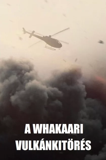 A Whakaari vulkánkitörés poszter