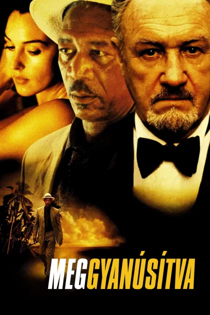 Meggyanúsítva poszter