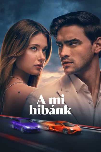 A mi hibánk poszter