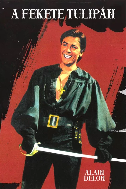 Fekete tulipán poszter