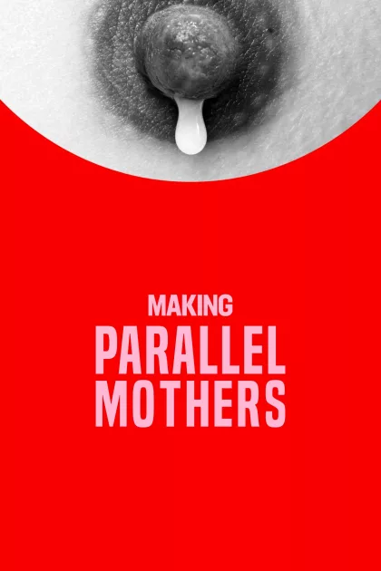 Making Parallel Mothers poszter