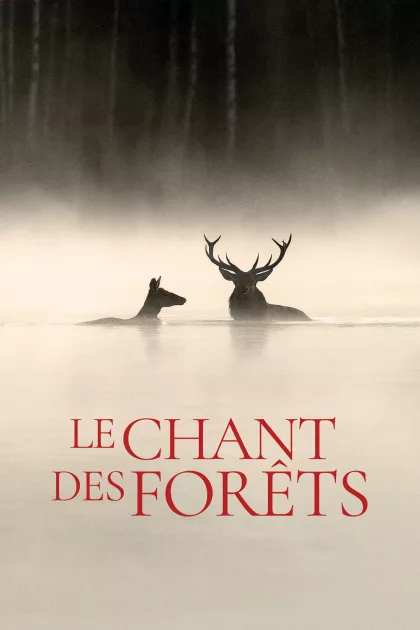 Le Chant des forêts poszter