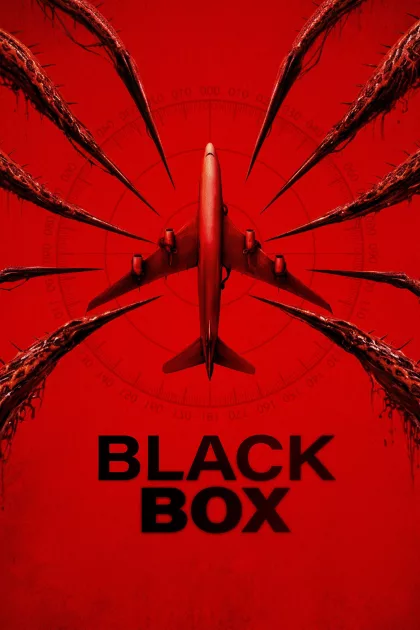 Black Box (Flight 298) poszter