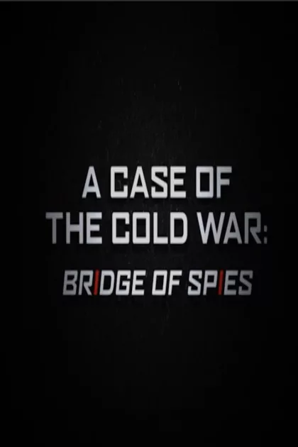 A Case of the Cold War: Bridge of Spies poszter