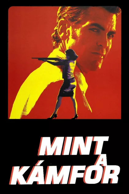 Mint a kámfor poszter