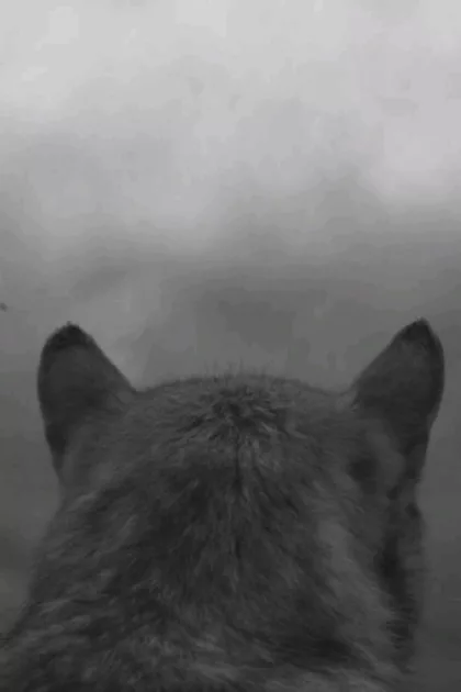 From the Mountain poszter