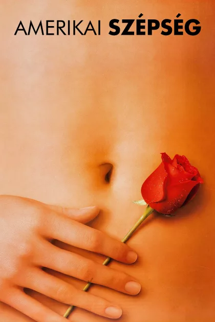 Amerikai szépség poszter