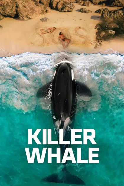 Killer Whale poszter
