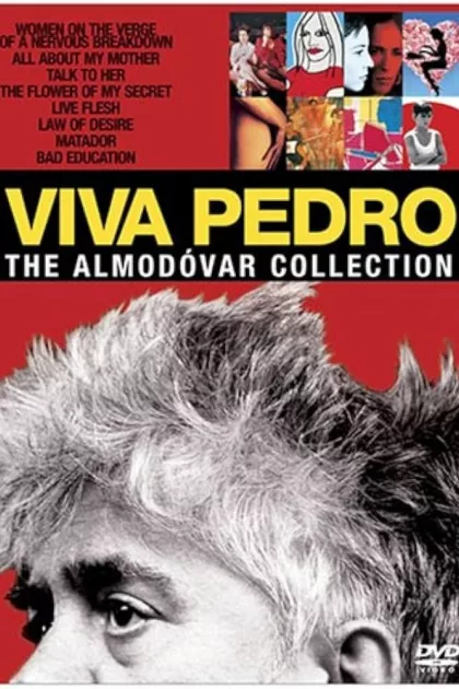 Directed by Almodóvar poszter