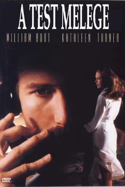 A test melege poszter