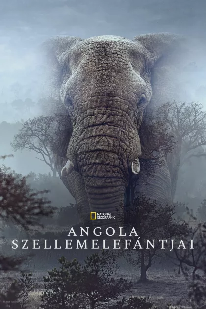 Ghost Elephants poszter