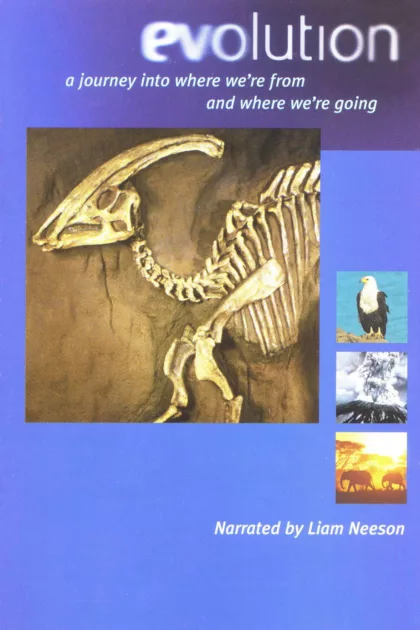 Evolution - Darwin's Dangerous Idea poszter