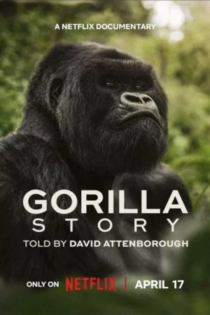 A Gorilla Story: Told by David Attenborough poszter
