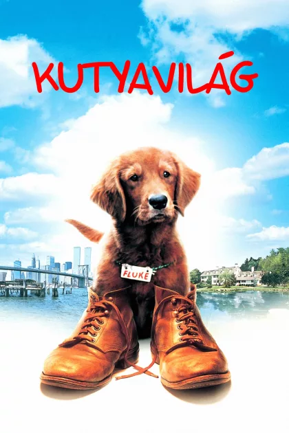Kutyavilág poszter
