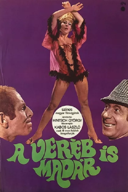 A veréb is madár poszter