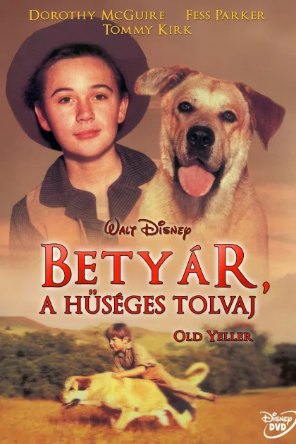 Betyár, a hűséges tolvaj poszter