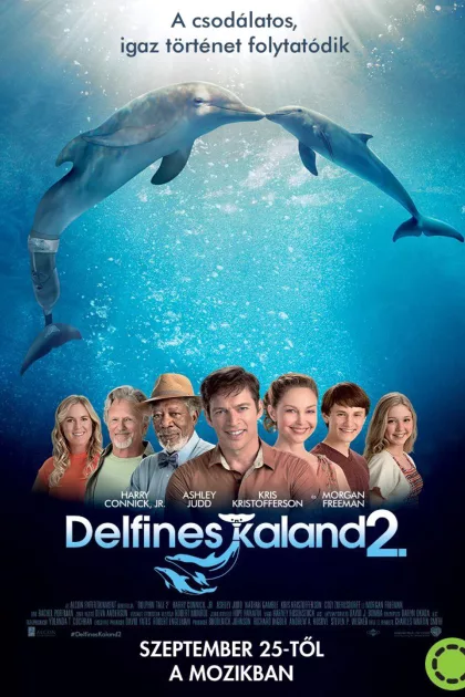 Delfines kaland 2. poszter