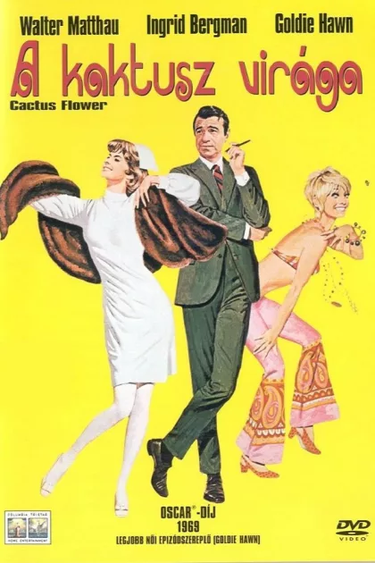 A kaktusz virága poszter