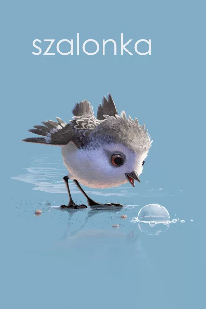 Szalonka poszter