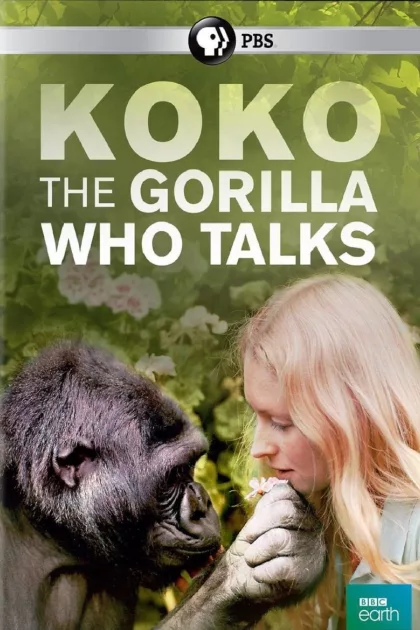 Koko: The Gorilla Who Talks to People poszter