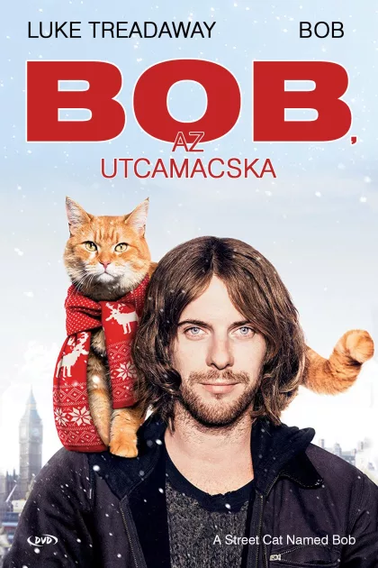 Bob, az utcamacska poszter