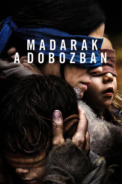 Madarak a dobozban poszter