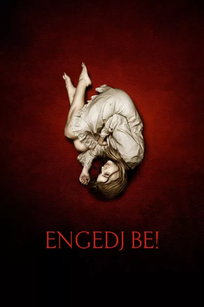 Engedj be! poszter
