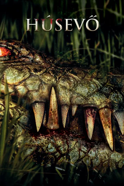 Húsevő poszter