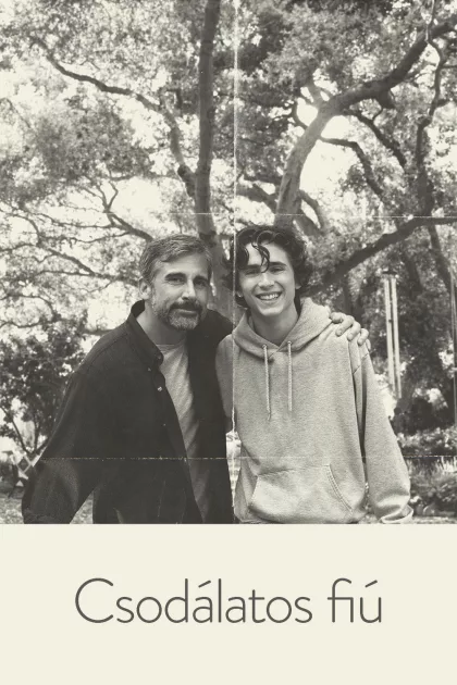 Csodálatos fiú poszter