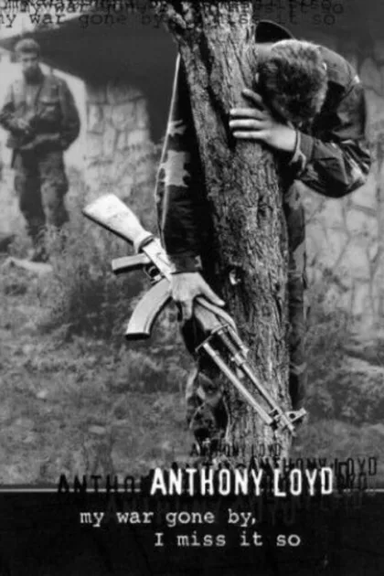 My War Gone By, I Miss It So poszter