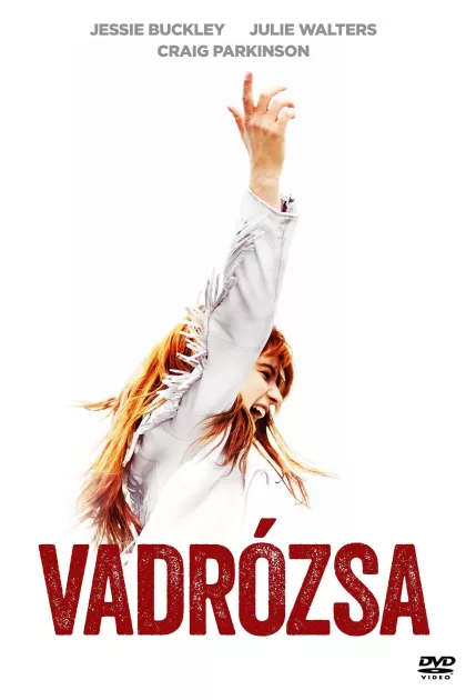 Vadrózsa poszter