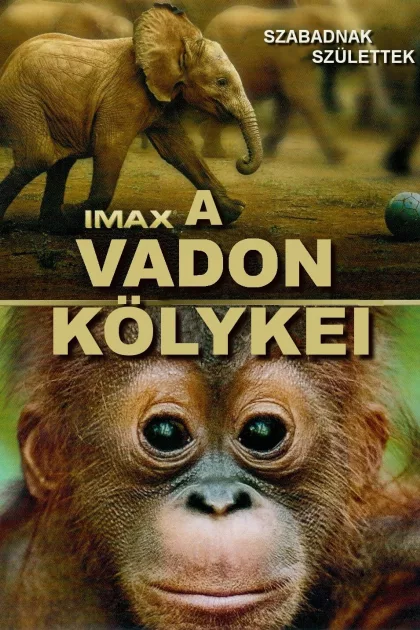 A vadon kölykei poszter