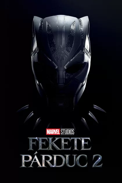 Fekete Párduc 2. poszter