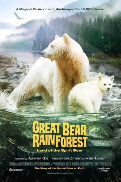 Great Bear Rainforest: Land of the Spirit Bear poszter