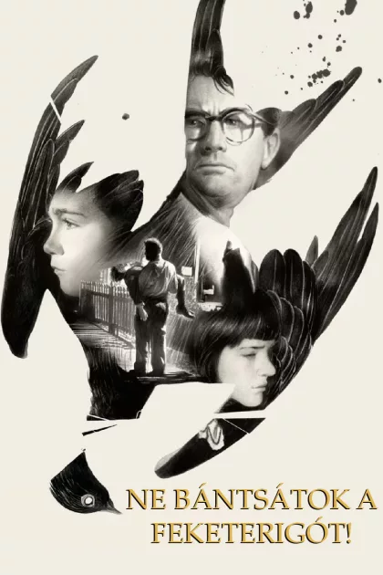Ne bántsátok a feketerigót! poszter