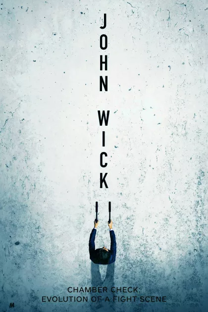 Chamber Check: Evolution of a Fight Scene poszter
