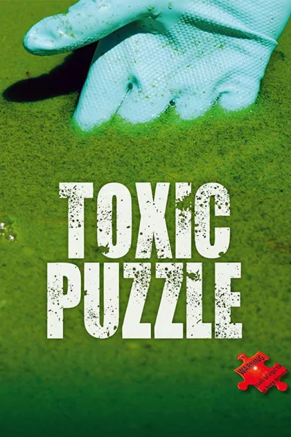 Toxic Puzzle poszter
