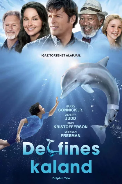 Delfines kaland poszter