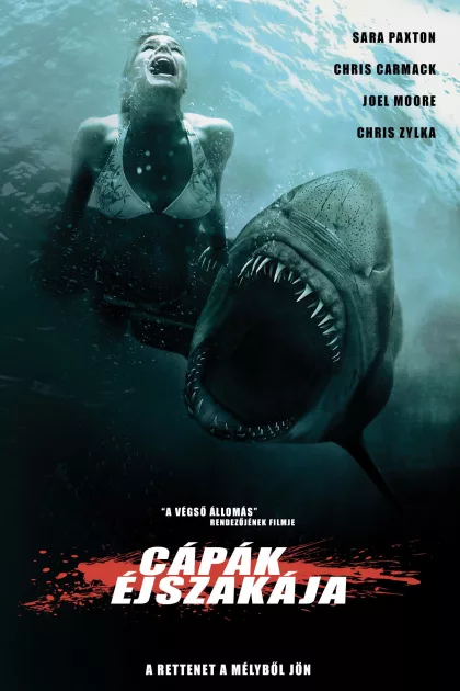 Cápák éjszakája poszter