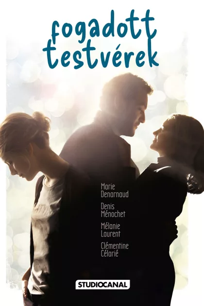 Fogadott testvérek poszter