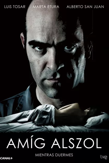 Amíg alszol poszter