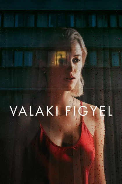 Valaki figyel poszter