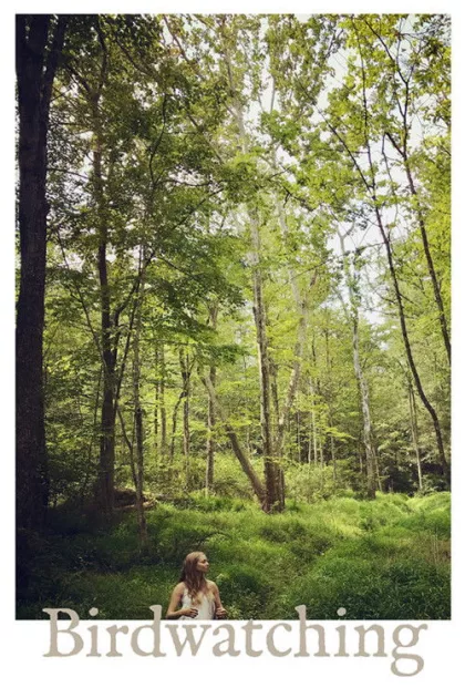 Birdwatching poszter