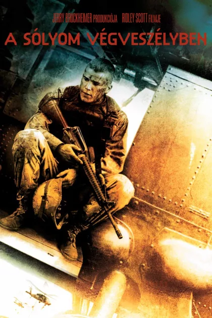 A Sólyom végveszélyben poszter