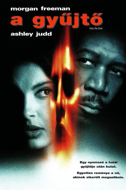 A Gyűjtő poszter