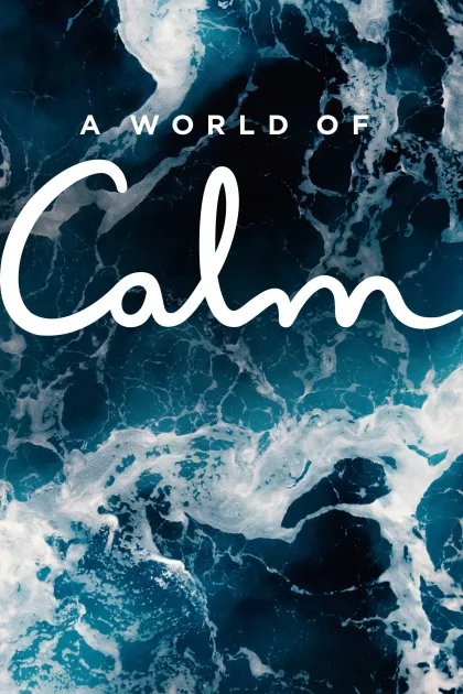 A World of Calm poszter